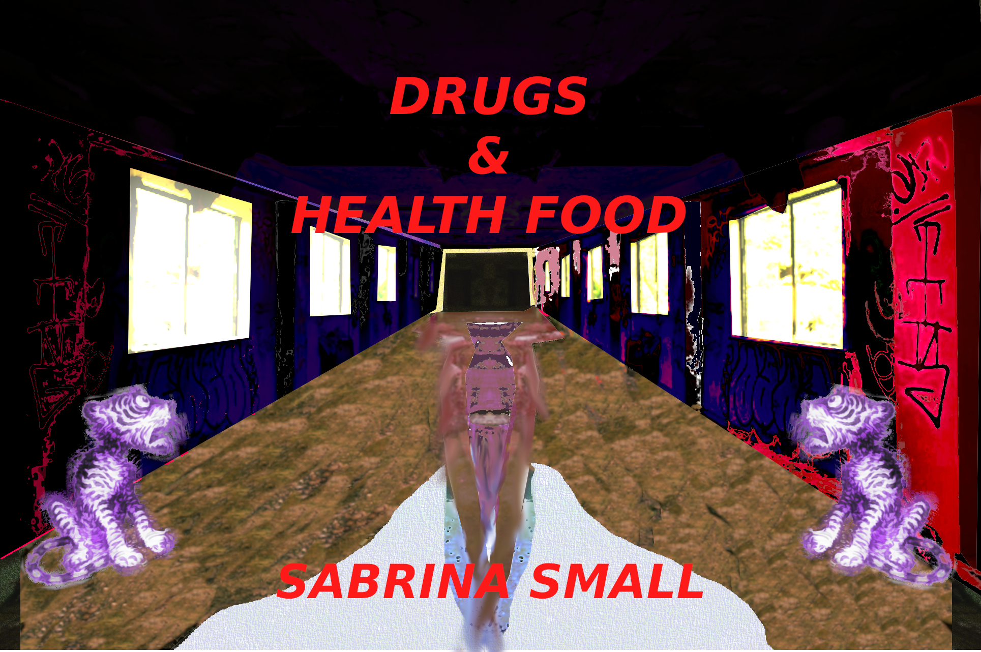 Drugs & Health Food, by Sabrina Small
